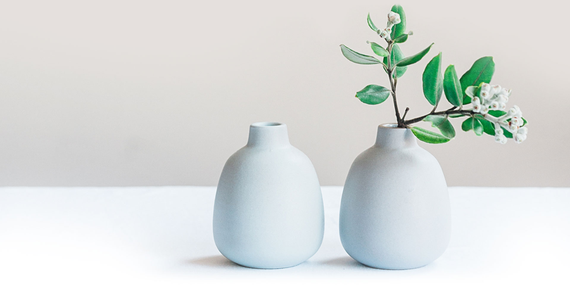 two white flowerpots on a white table